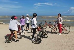 Penang: Tour mattutino in bicicletta della campagna di Balik Pulau
