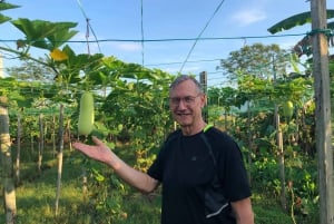 Penang: Passeio de bicicleta matinal pelo campo de Balik Pulau