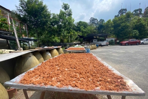 Penang: Balik Pulau Kulturerlebnis & Dorftour