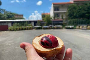 Penang: Balik Pulau Kulturerlebnis & Dorftour