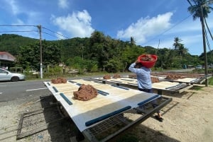 Penang: Balik Pulau Kulturerlebnis & Dorftour