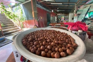 Penang: Balik Pulau Kulturerlebnis & Dorftour