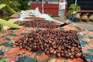 Penang: Balik Pulau Kulturerlebnis & Dorftour