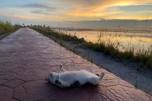 Penang: Balik Pulau Kulturerlebnis & Dorftour