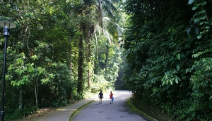 Penang Botanical Gardens