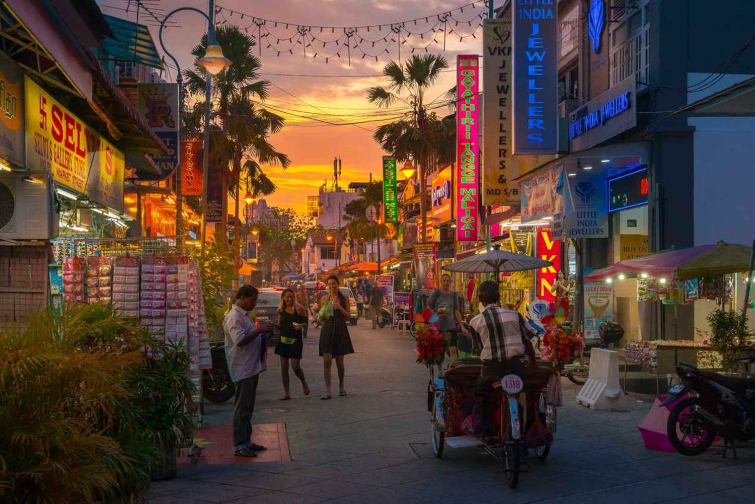 Tour de medio día por la ciudad de Penang con el Jardín de Especias Tropicales