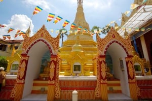 Tour de medio día por la ciudad de Penang con el Jardín de Especias Tropicales