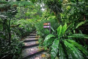 Tour de medio día por la ciudad de Penang con el Jardín de Especias Tropicales