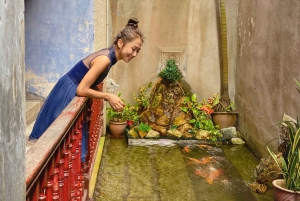 Penang: Guidad halvdagstur i George Town med UNESCO:s kulturarv