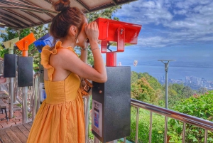 Penang: Halvdagstur til ikoniske templer og Penang Hill