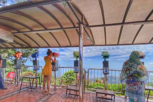 Penang: Halvdagstur til ikoniske templer og Penang Hill