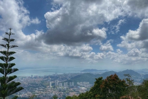 Penang: Halvdagstur til ikoniske templer og Penang Hill