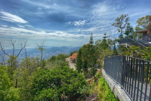 Penang: Halvdagstur til ikoniske templer og Penang Hill