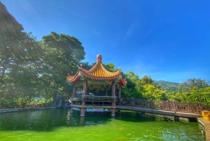 Penang: Halvdagstur til ikoniske templer og Penang Hill