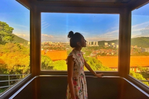 Penang: Halvdagstur til ikoniske templer og Penang Hill