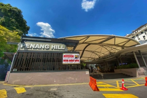 Penang: Halvdagstur til ikoniske templer og Penang Hill