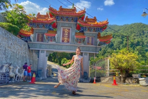 Penang: Halvdagstur til ikoniske templer og Penang Hill