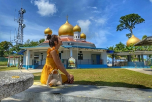 Penang: Halvdagstur til ikoniske templer og Penang Hill