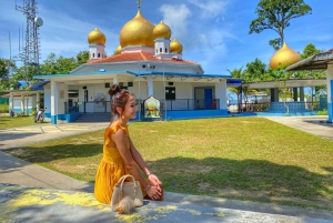 Penang: Halvdagstur til ikoniske templer og Penang Hill