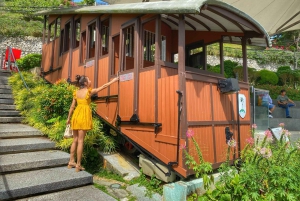 Penang: Halvdagstur til ikoniske templer og Penang Hill