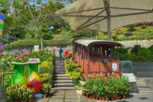 Penang: Halvdagstur til ikoniske templer og Penang Hill