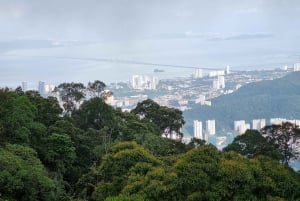 Penang: Kek Lok Si Temple och Penang Hill Guidad tur