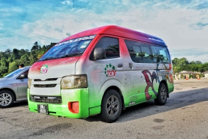 Penang: Privat flyplasstransport med bil eller minibuss