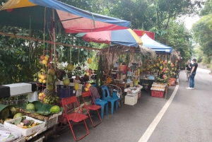 Penang: Private Customized Flexible Tour with Tourist Guide