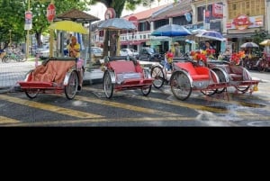 Penang: Shine Local Full Day Private tour 10-18pax(8Hours)