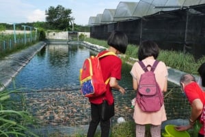 Penang: The Vanilla Village Farm Tour by Kairos