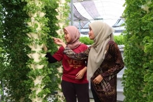 Penang: The Vanilla Village Farm Tour by Kairos