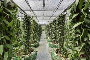 Penang: The Vanilla Village Farm Tour by Kairos