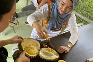 Penang: Tropical Fruit Farm Ticket