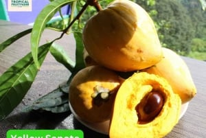 Penang: Tropical Fruit Farm Ticket