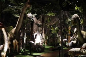 Penang City & tempelrundtur med Penang Hill Train Fast Lane