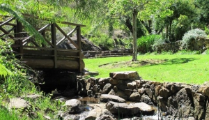 ARALUEN BOTANIC PARK