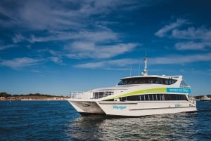 2-Hour Whale Watching Cruise with Aquarium Entry