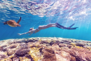 Perth: 7 Day Explorer Return Tour to Exmouth