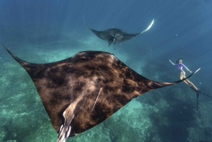 Perth: 7 Day Explorer Return Tour to Exmouth