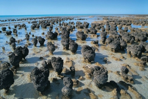 Perth: 7 Day Explorer Return Tour to Exmouth