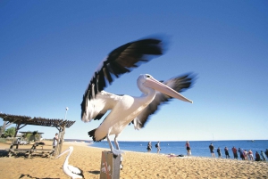 Perth: 7 Day Explorer Return Tour to Exmouth