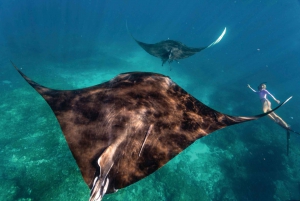 Perth: 7 Day Explorer Return Tour to Exmouth