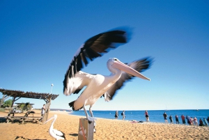 Perth: 7 Day Explorer Return Tour to Exmouth