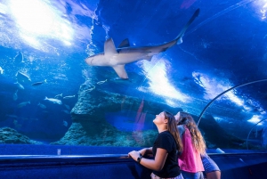 Perth: AQWA Aquarium of Western Australia Entry Tickets