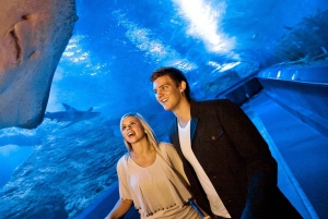 Perth: AQWA Aquarium of Western Australia Entry Tickets