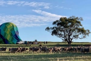 Vol en montgolfière INCLUANT la navette de Perth à Northam