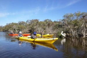 Visite d'une demi-journée de la rivière Canning