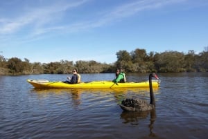 Visite d'une demi-journée de la rivière Canning