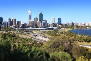 Perth: City Highlights, Wildlife Park and Swan Valley Tour