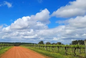 Collie: Gin Paddle Hiking Experience